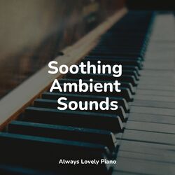 Cover of #50 Calming Music Therapy