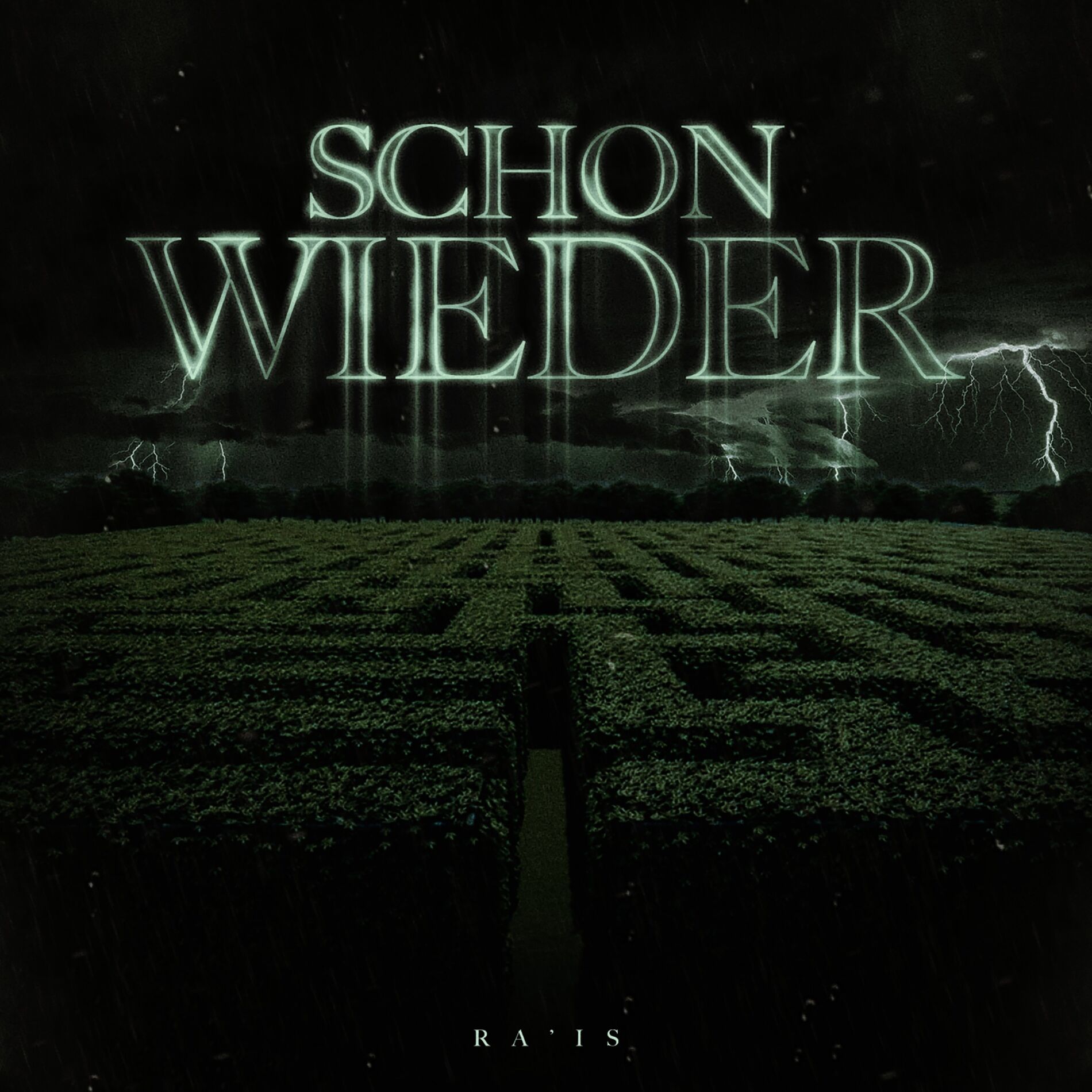 Album cover of Schon wieder
