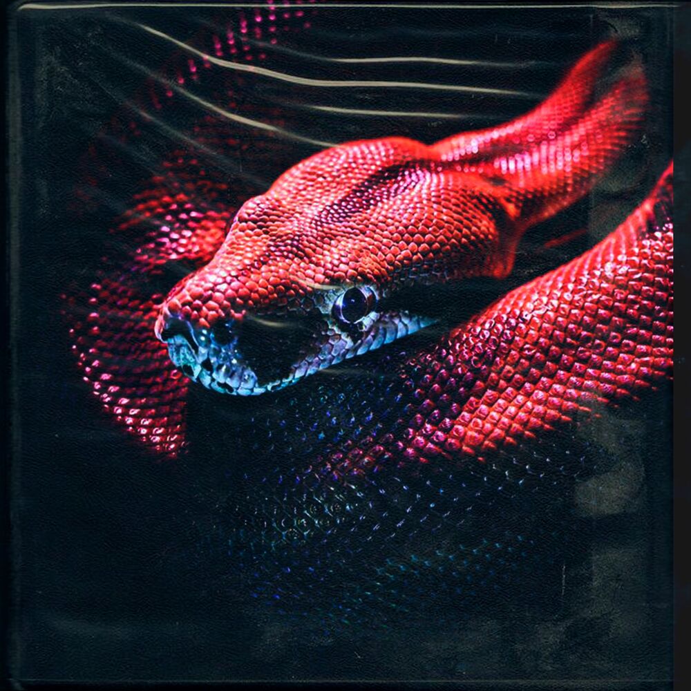 Picture of Cobra