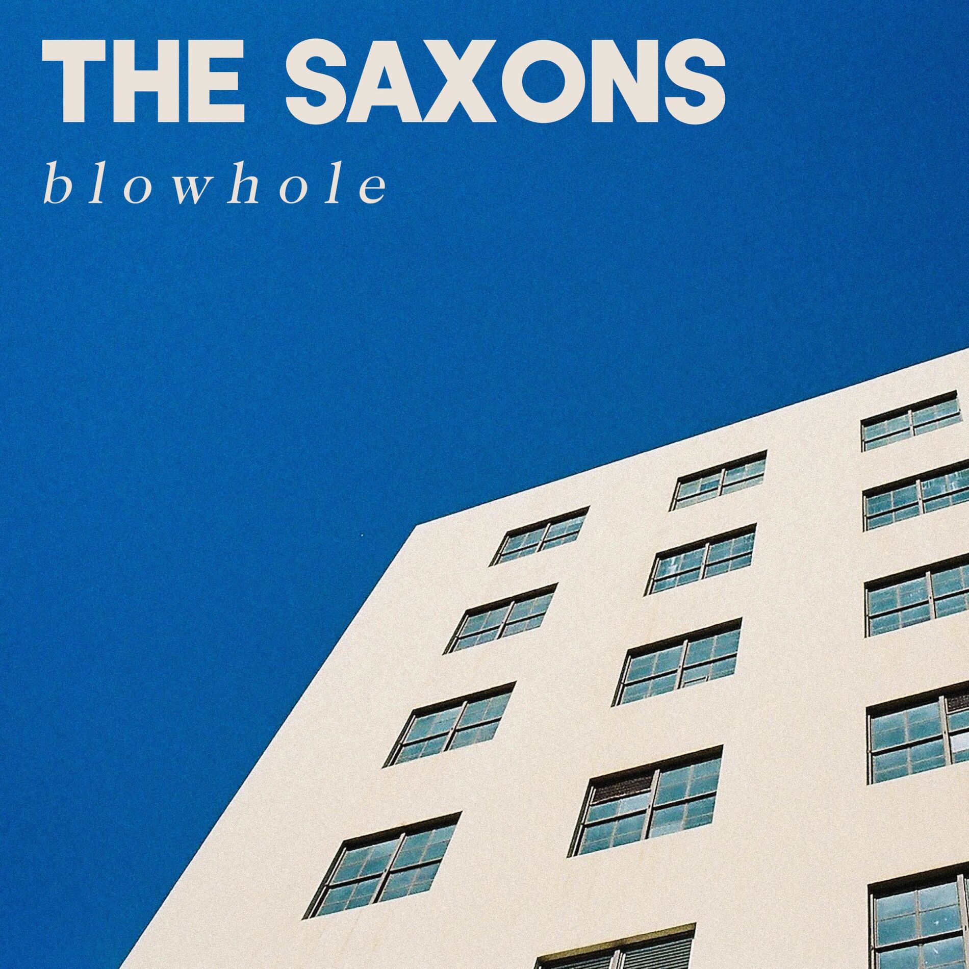 Album cover of Blowhole