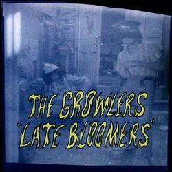 Cover of Late Bloomers