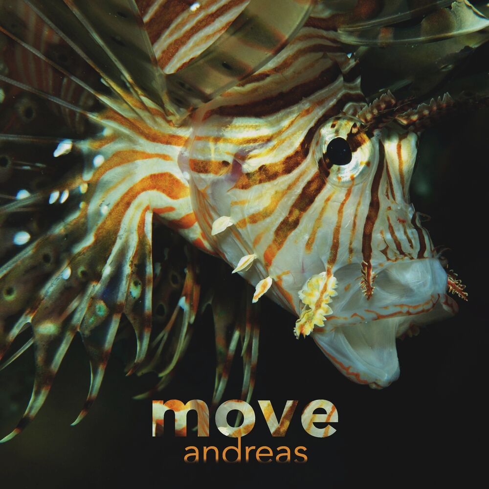 Picture of Move