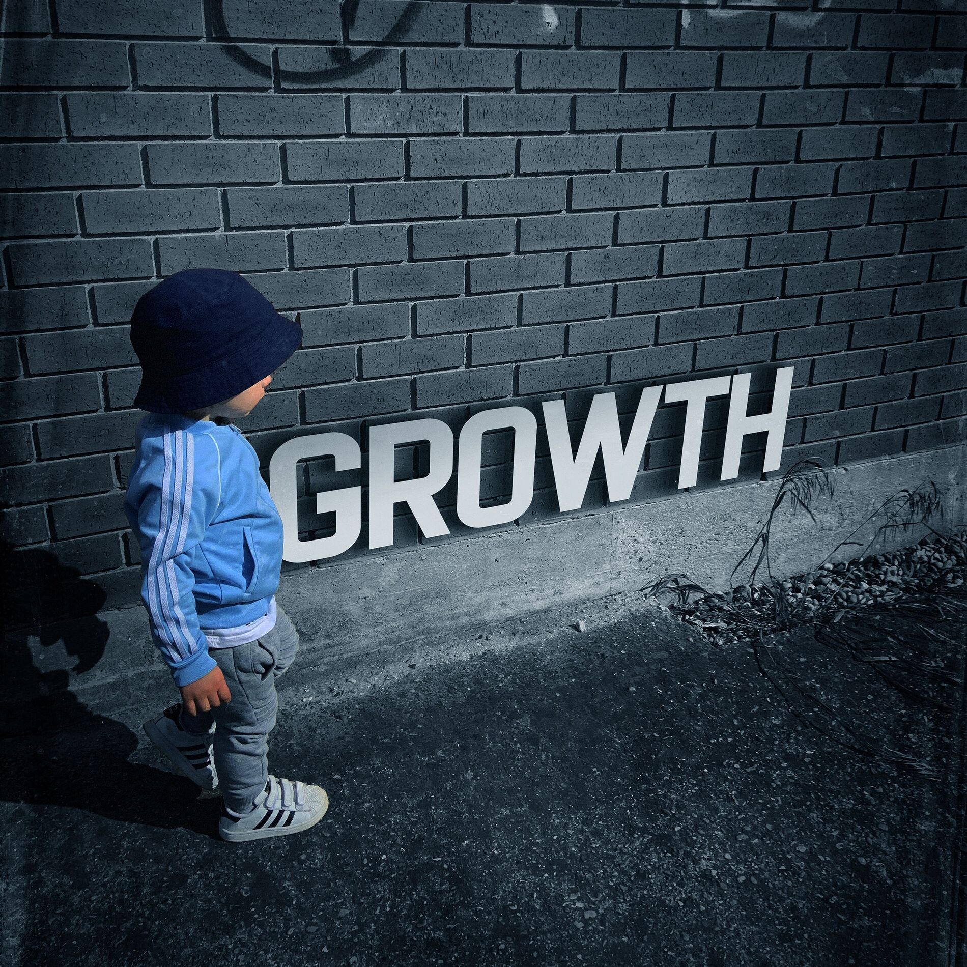 Album cover of Growth