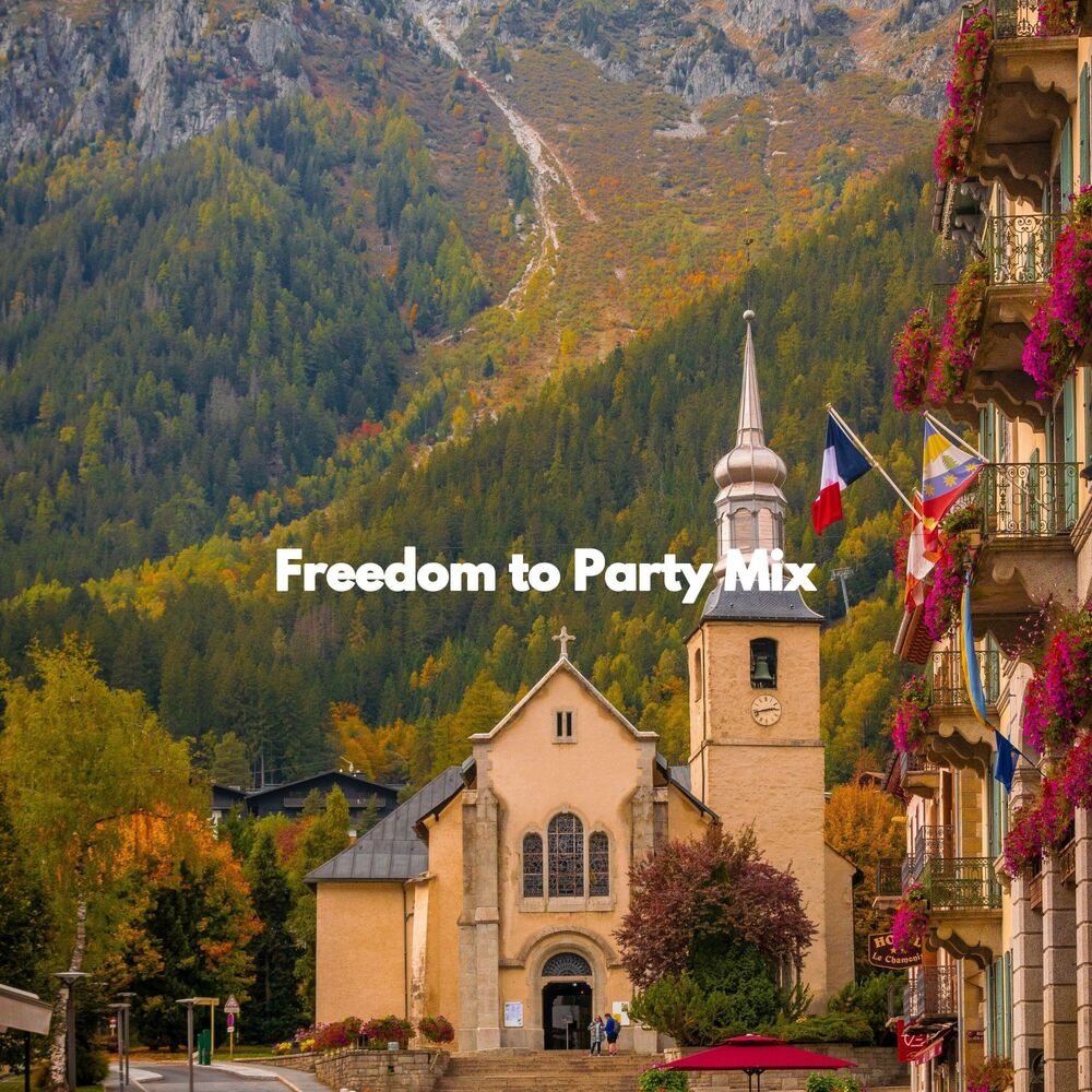 Picture of Freedom to Party Mix