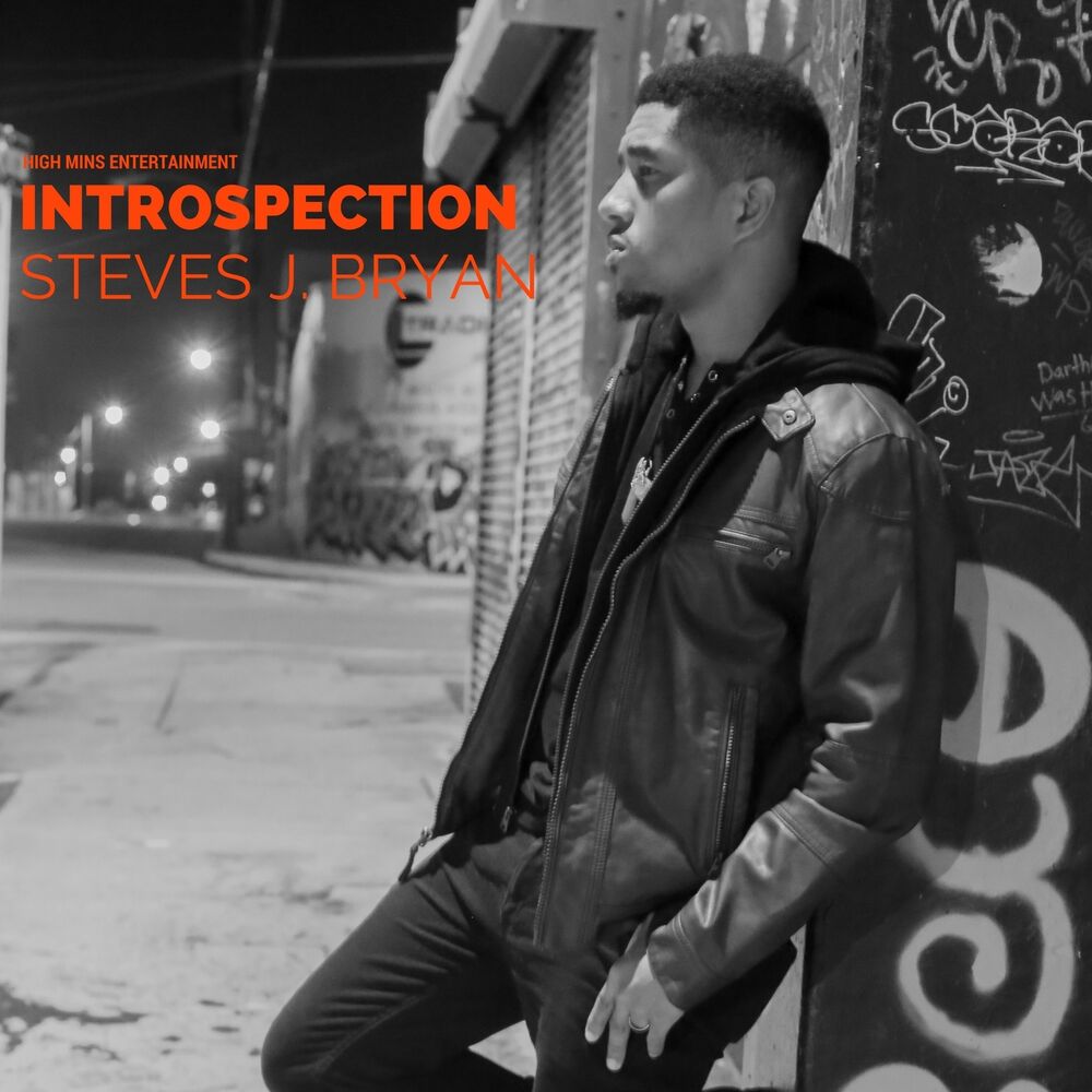 Picture of Introspection