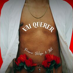 Cover of Vai Querer