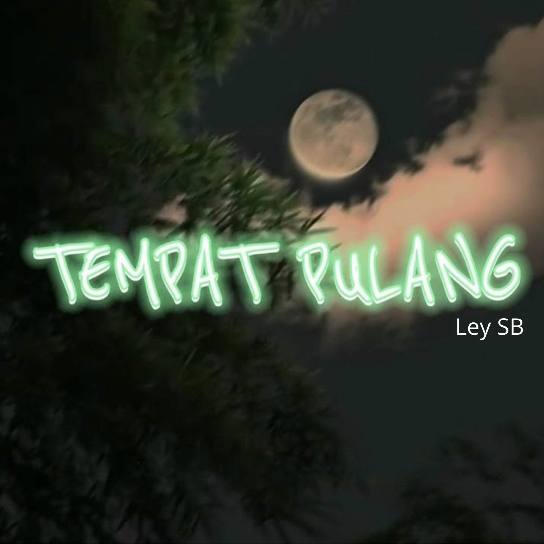 Album cover of Tempat Pulang