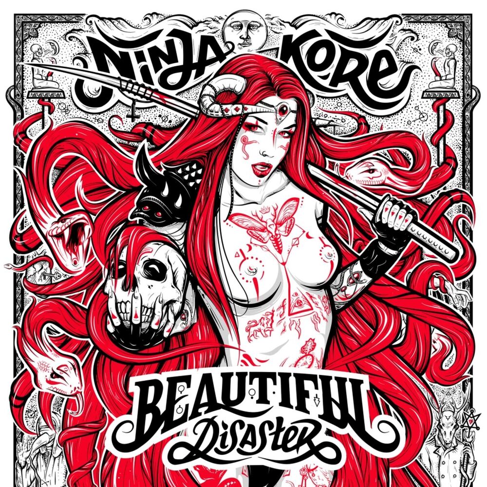 Picture of Beautiful Disaster