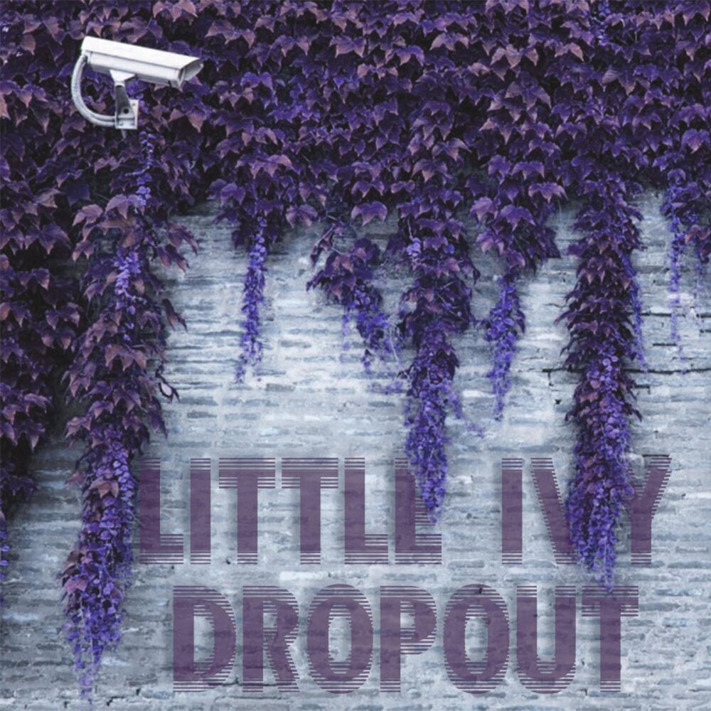 Picture of Little Ivy Dropout