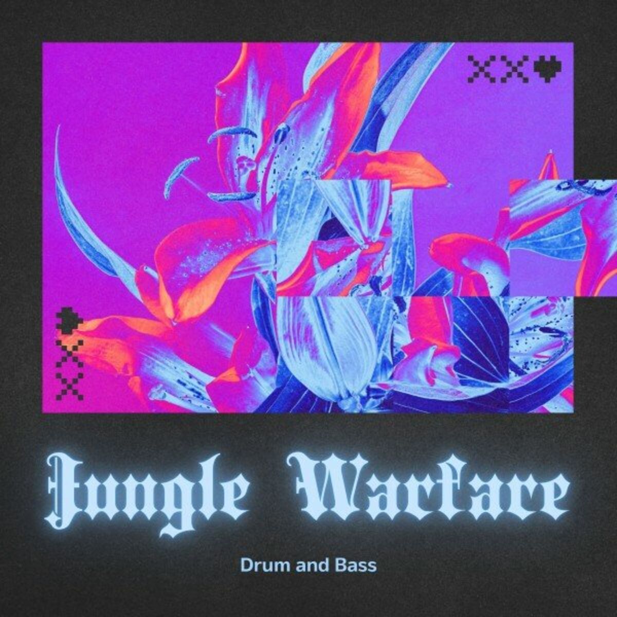 Album cover of Jungle Warfare: Drum and Bass