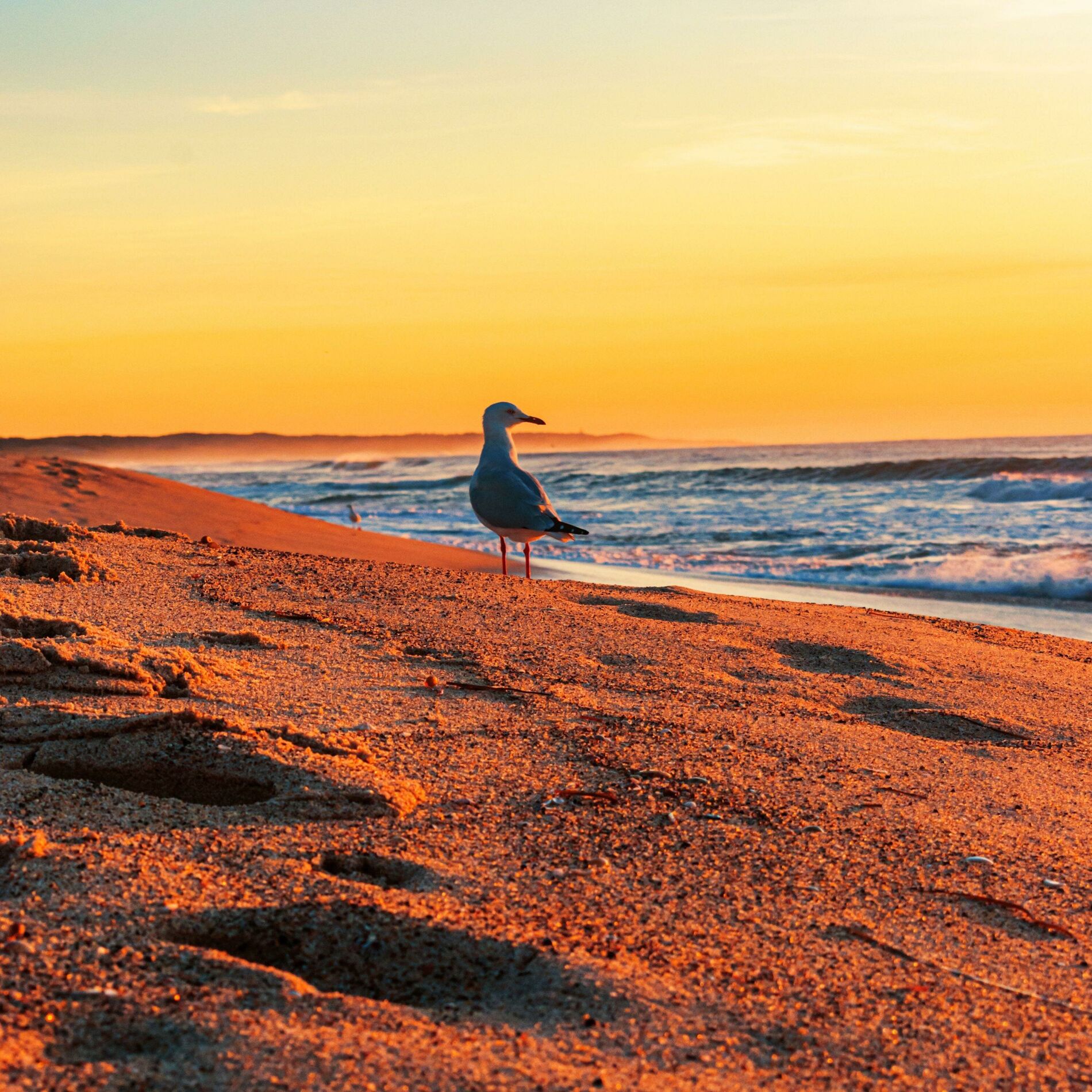 Album cover of Zen Chill: Ambient Relaxing Background Music for Meditation & Calm Mind