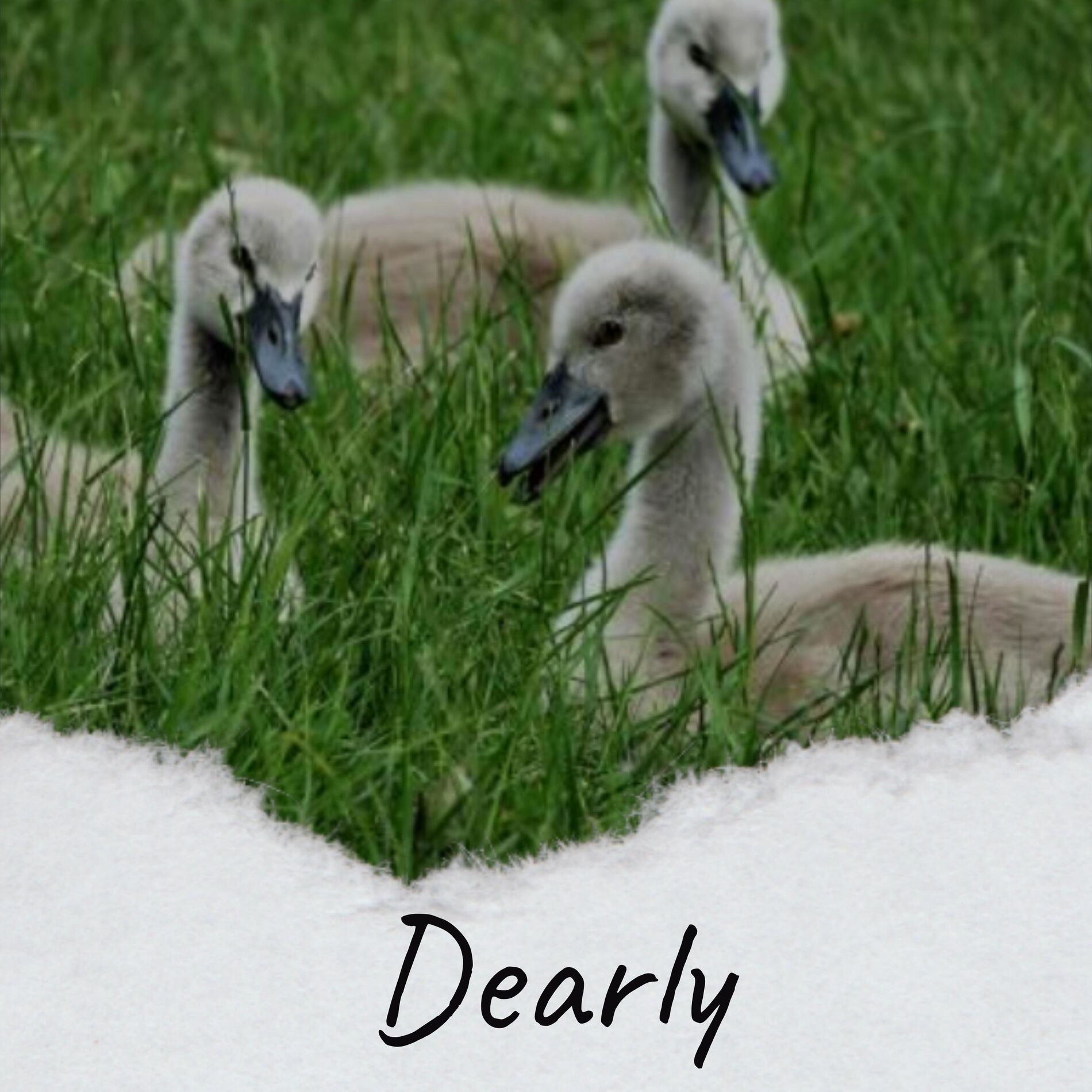 Album cover of Dearly