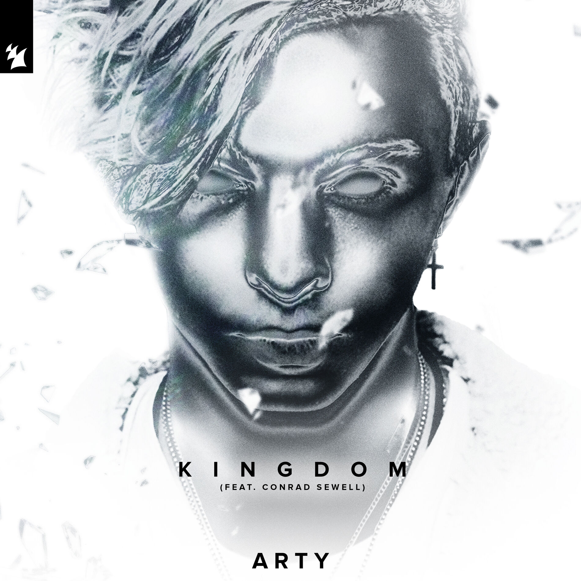 Album cover of Kingdom