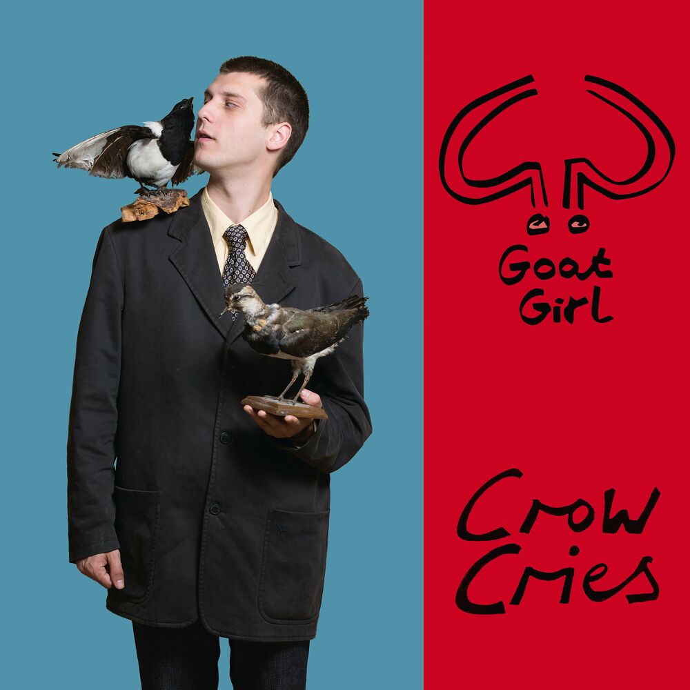 Picture of Crow Cries