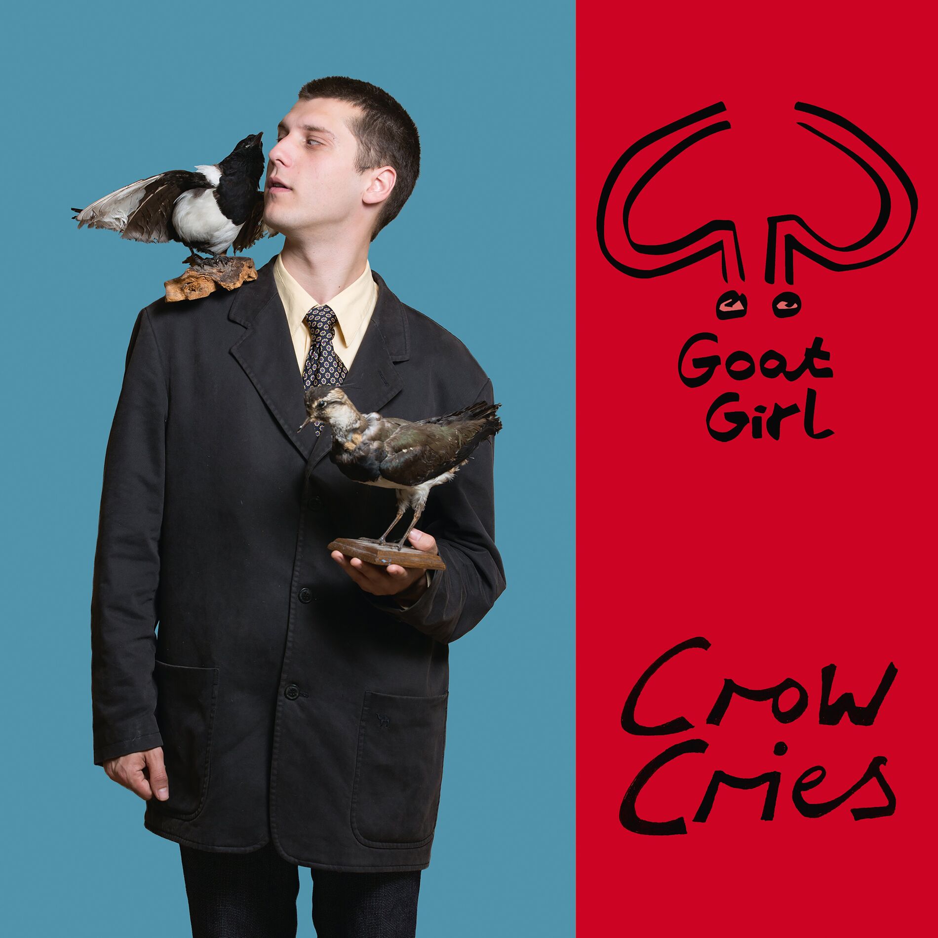 Album cover of Crow Cries