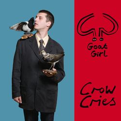 Cover of Crow Cries