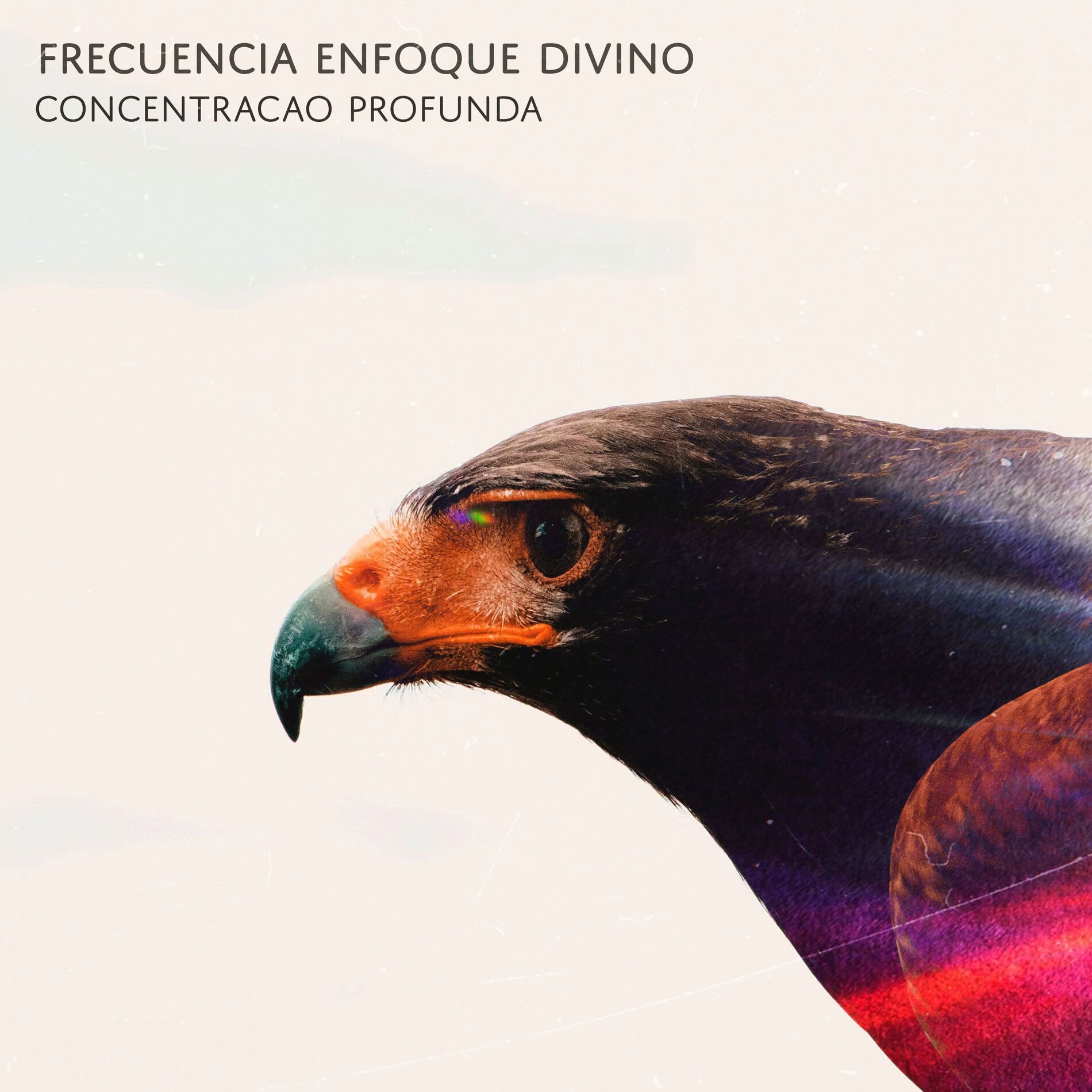 Album cover of Frecuencia Enfoque Divino
