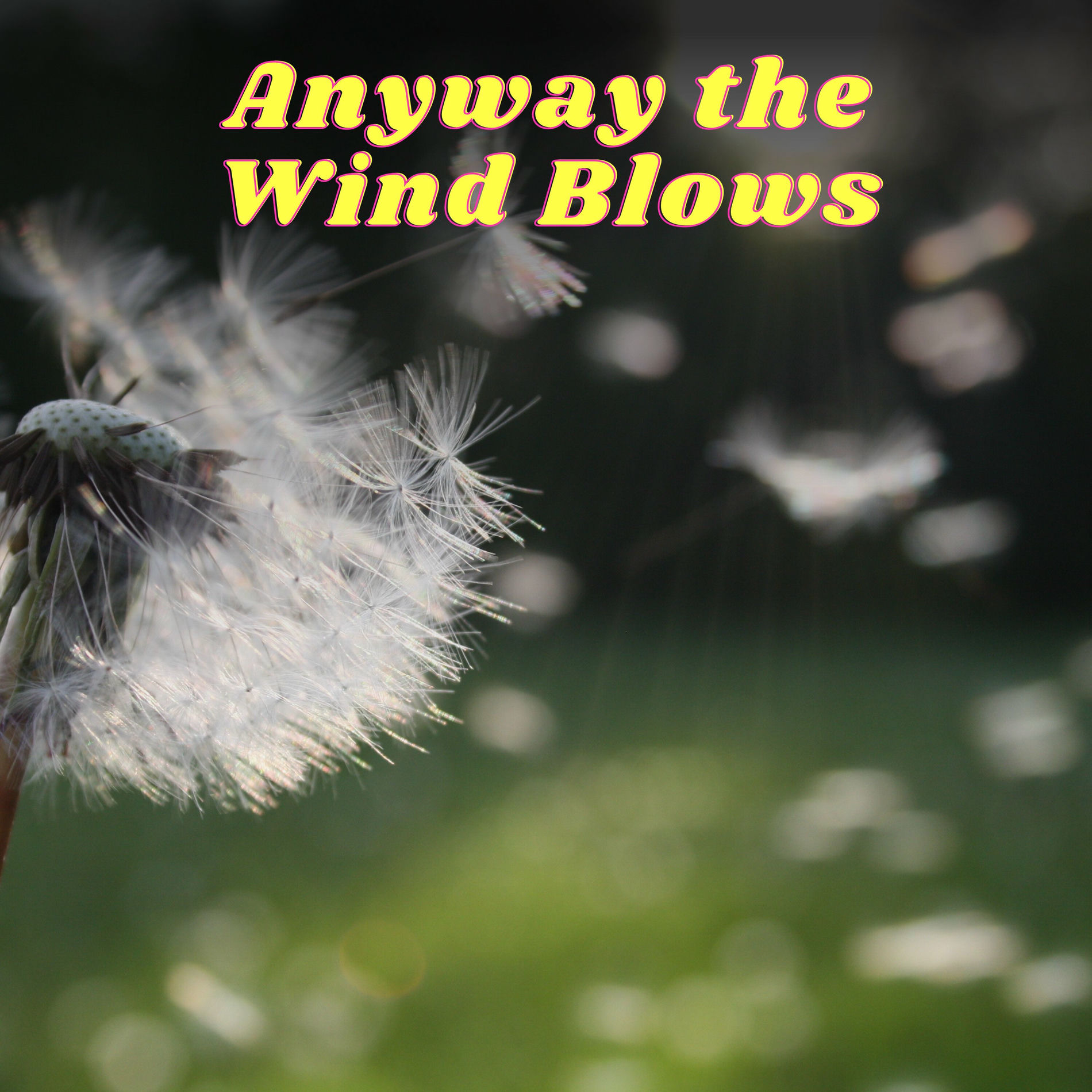 Album cover of Anyway the Wind Blows