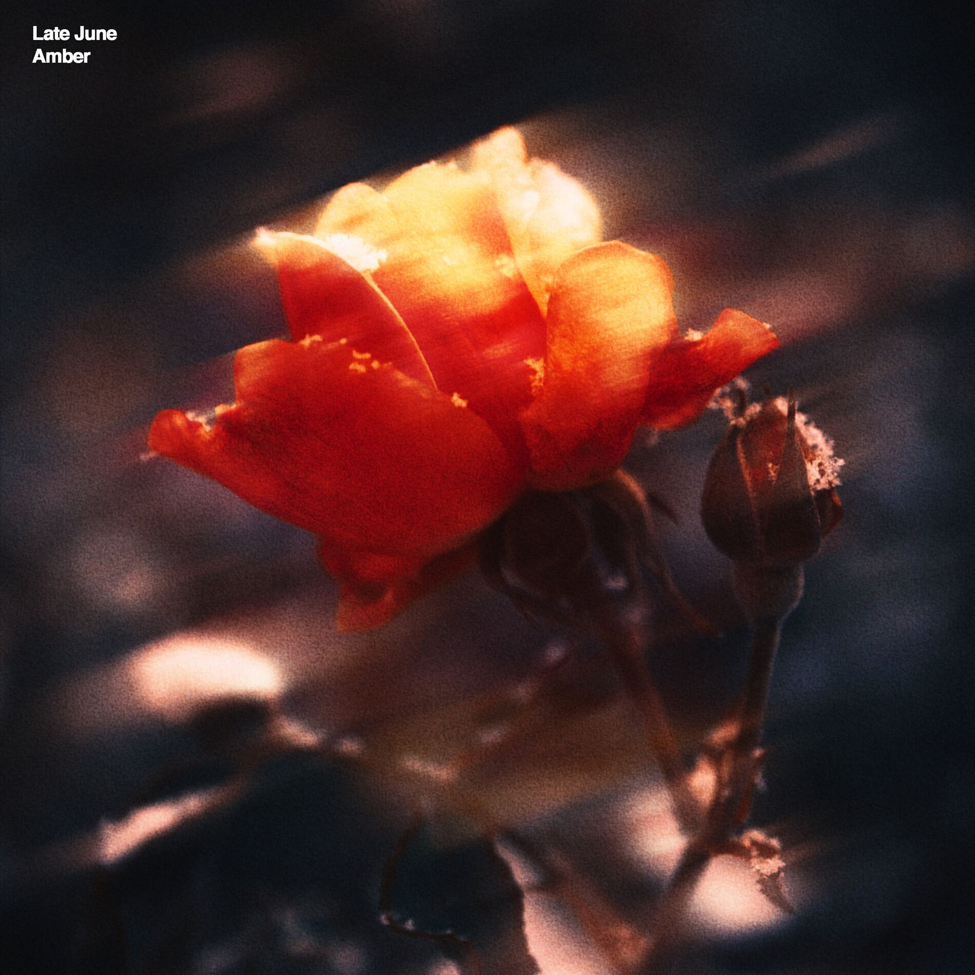 Album cover of Amber