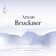 Symphony No. 1. I. Allegro