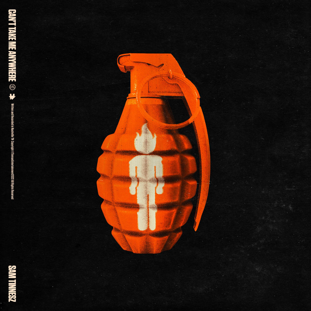 Can't Take Me Anywhere album cover