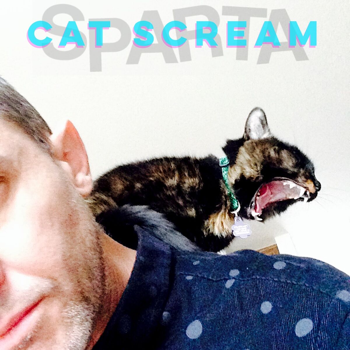 Album cover of Cat Scream
