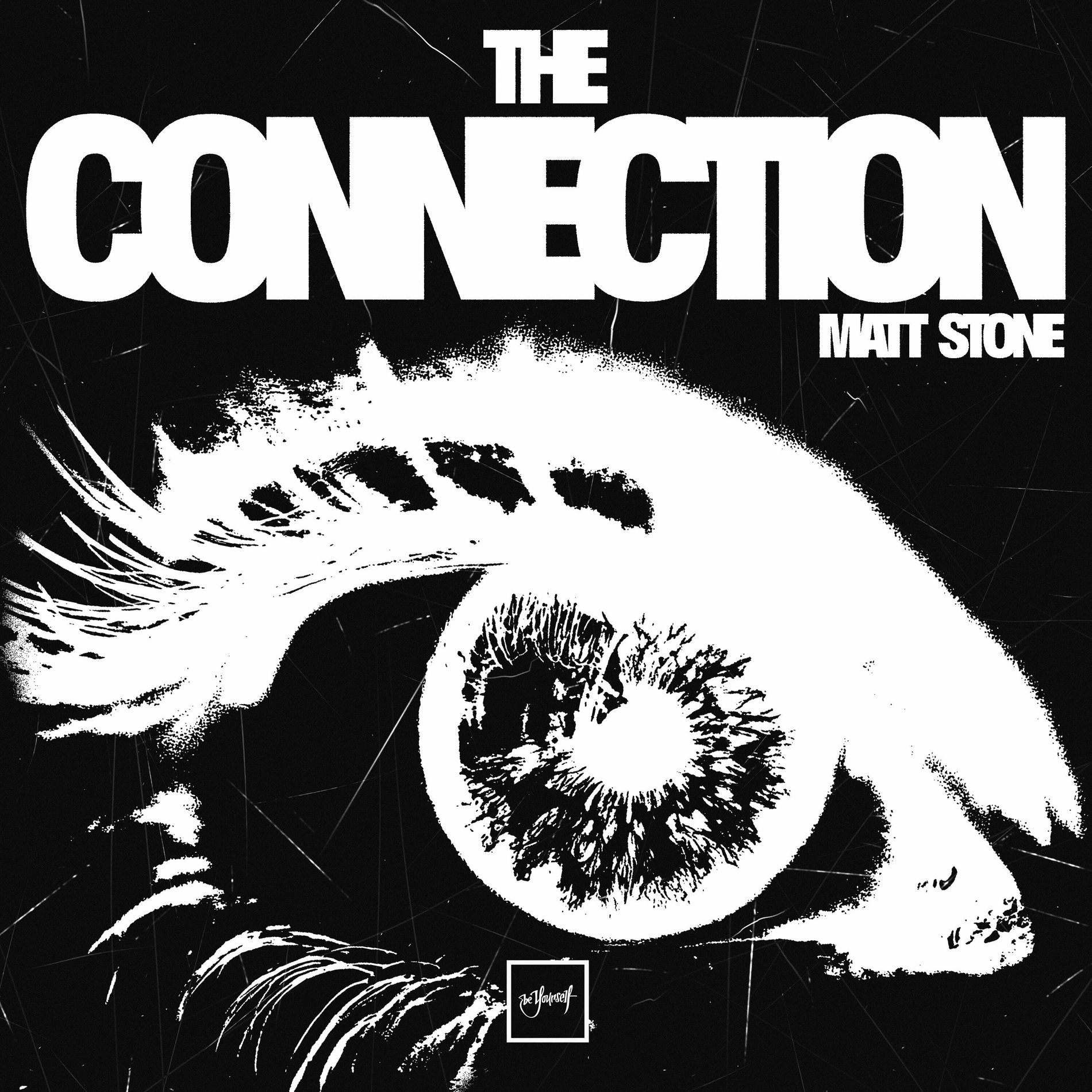 Album cover of The Connection