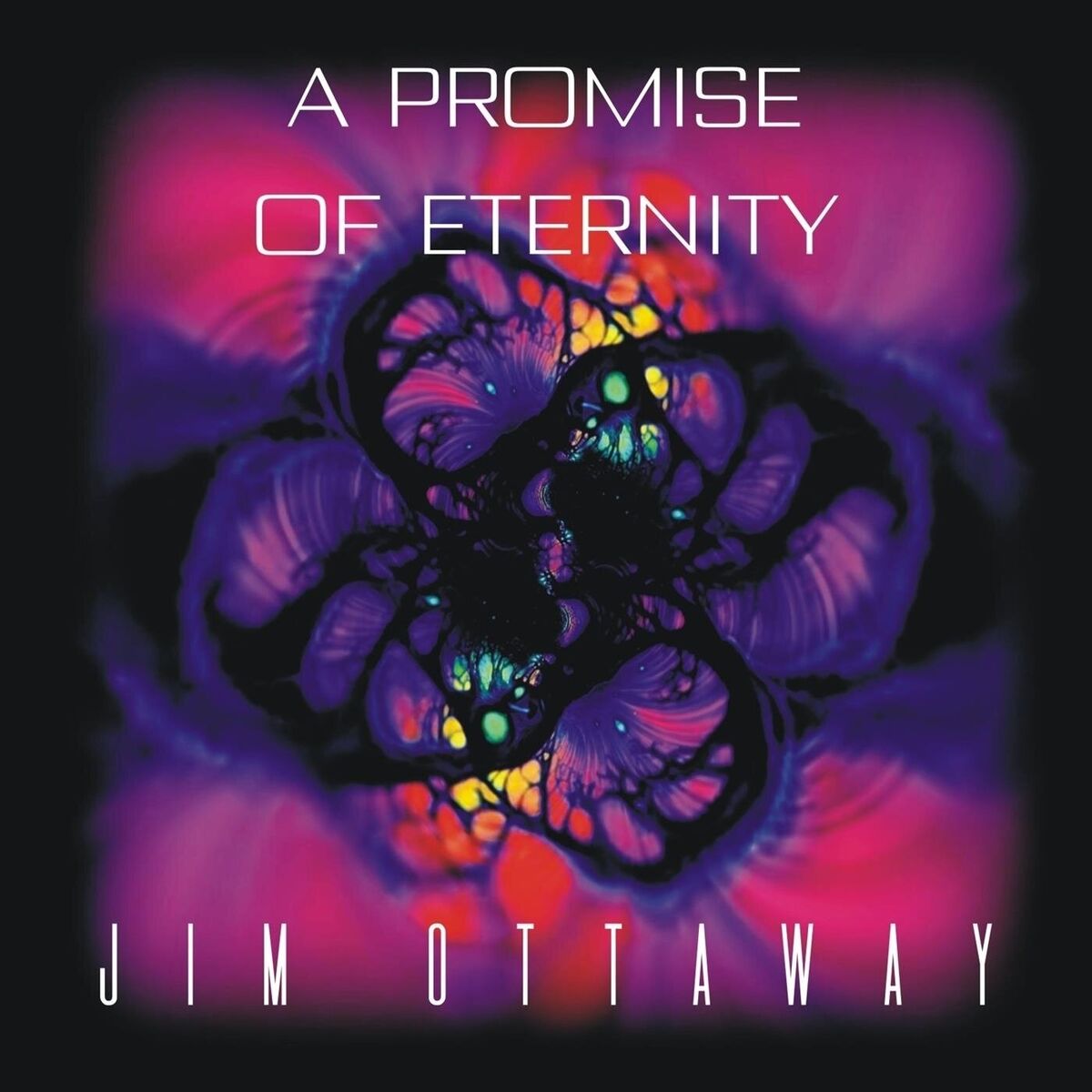 Album cover of A Promise Of Eternity