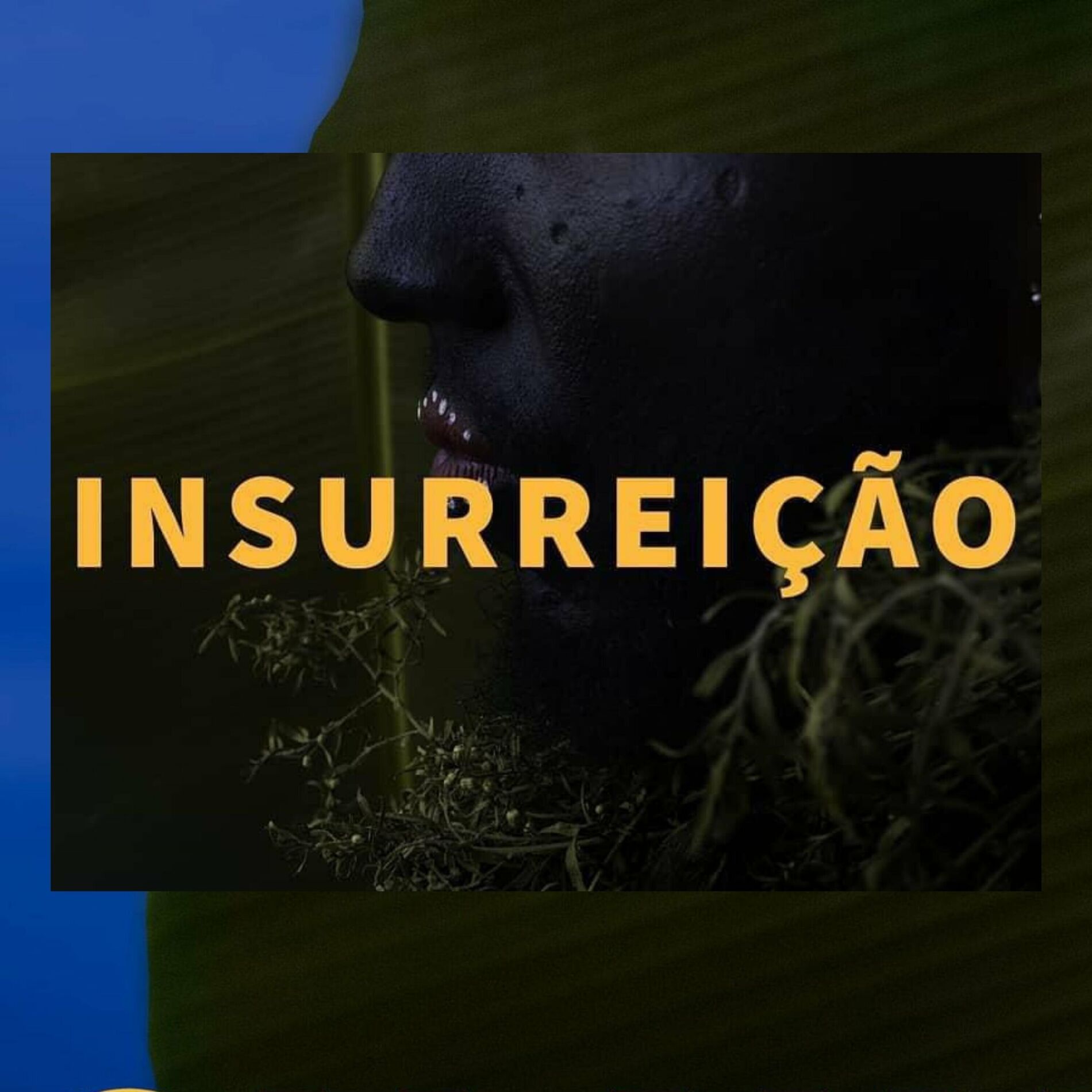 Album cover of Insurreição