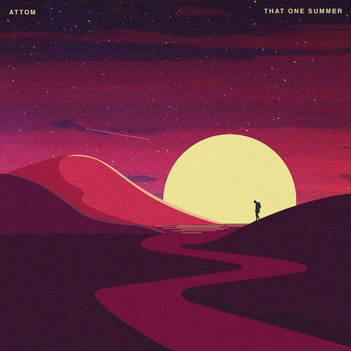 Album cover of Shibui
