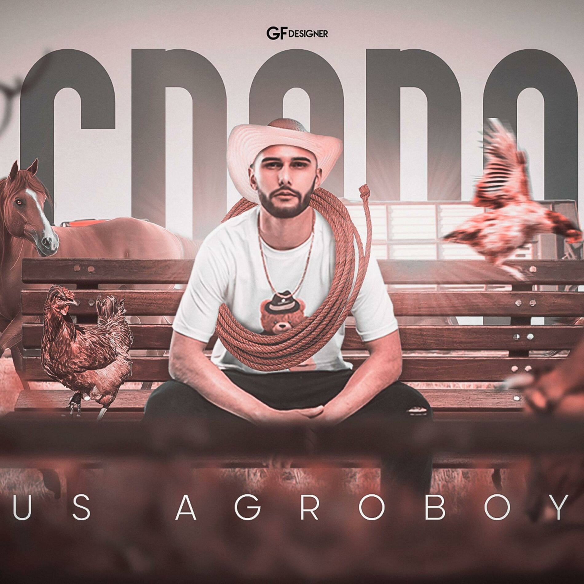 Album cover of MEGA FUNKNEJO - US AGROBOY