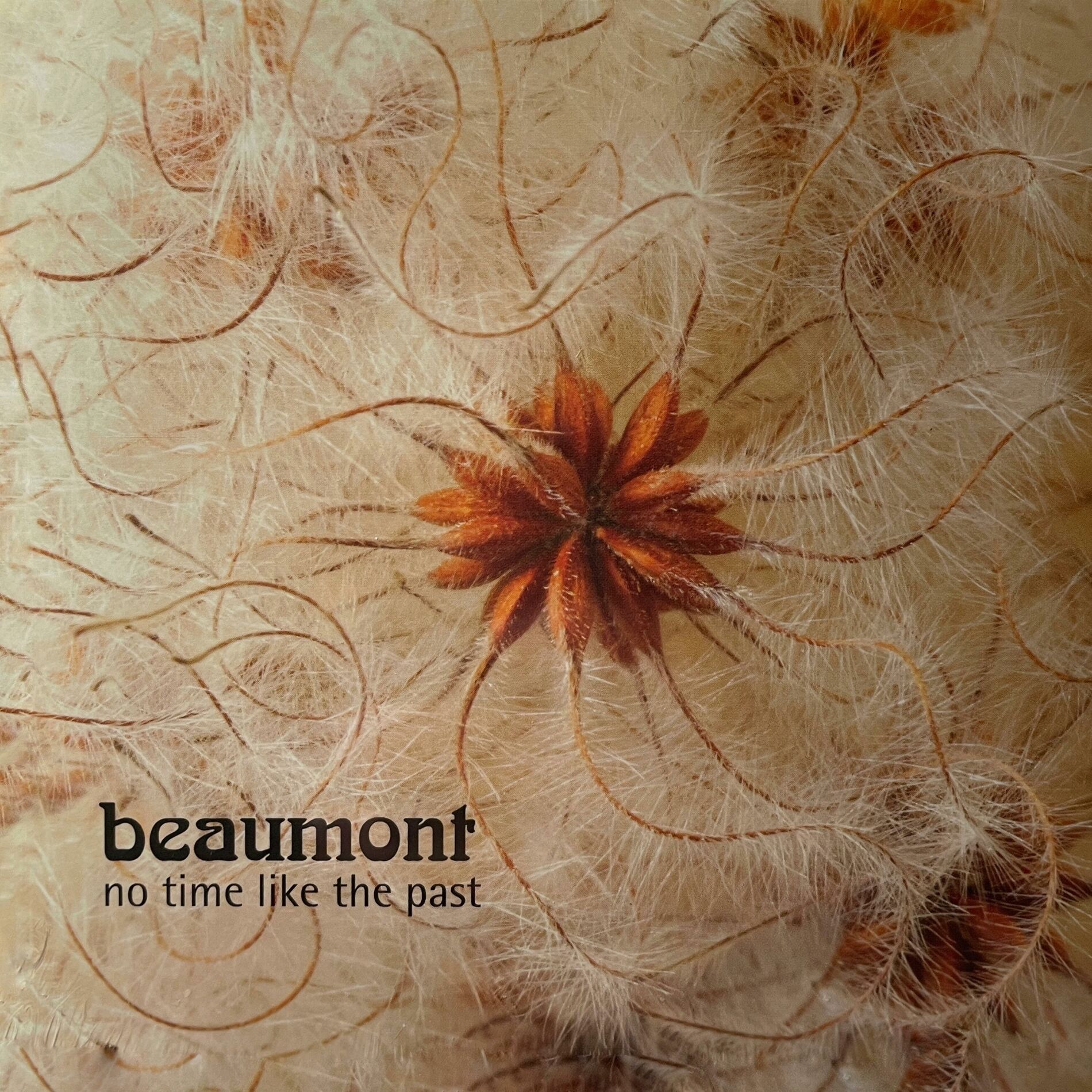 Album cover of No Time Like The Past