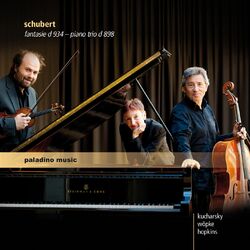 Cover of Schubert: Works for Violin, Cello & Piano