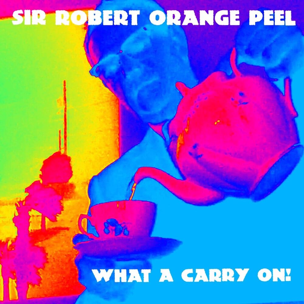 Picture of What a Carry on !