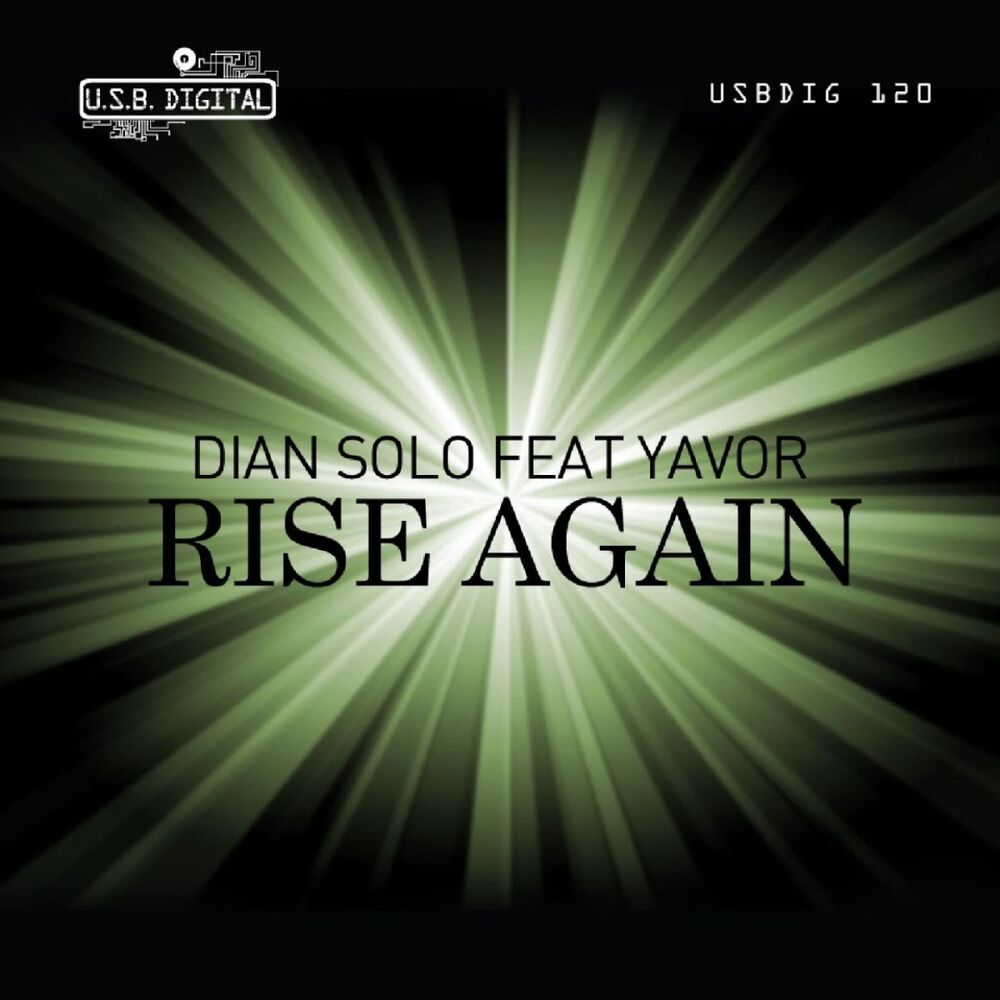 Picture of Rise Again
