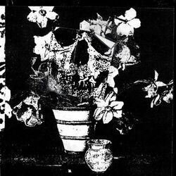Cover of THE LIGHT