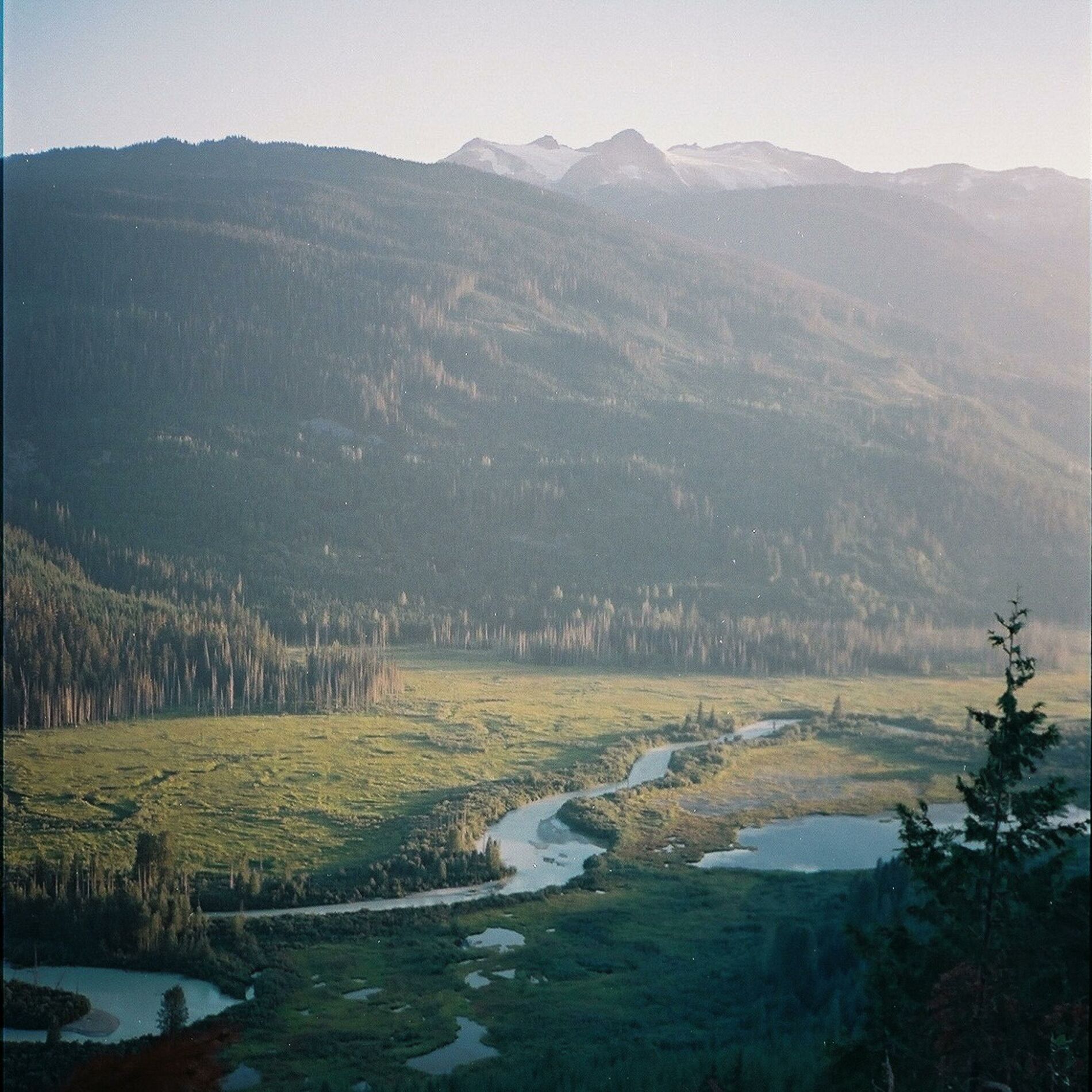 Album cover of Forever