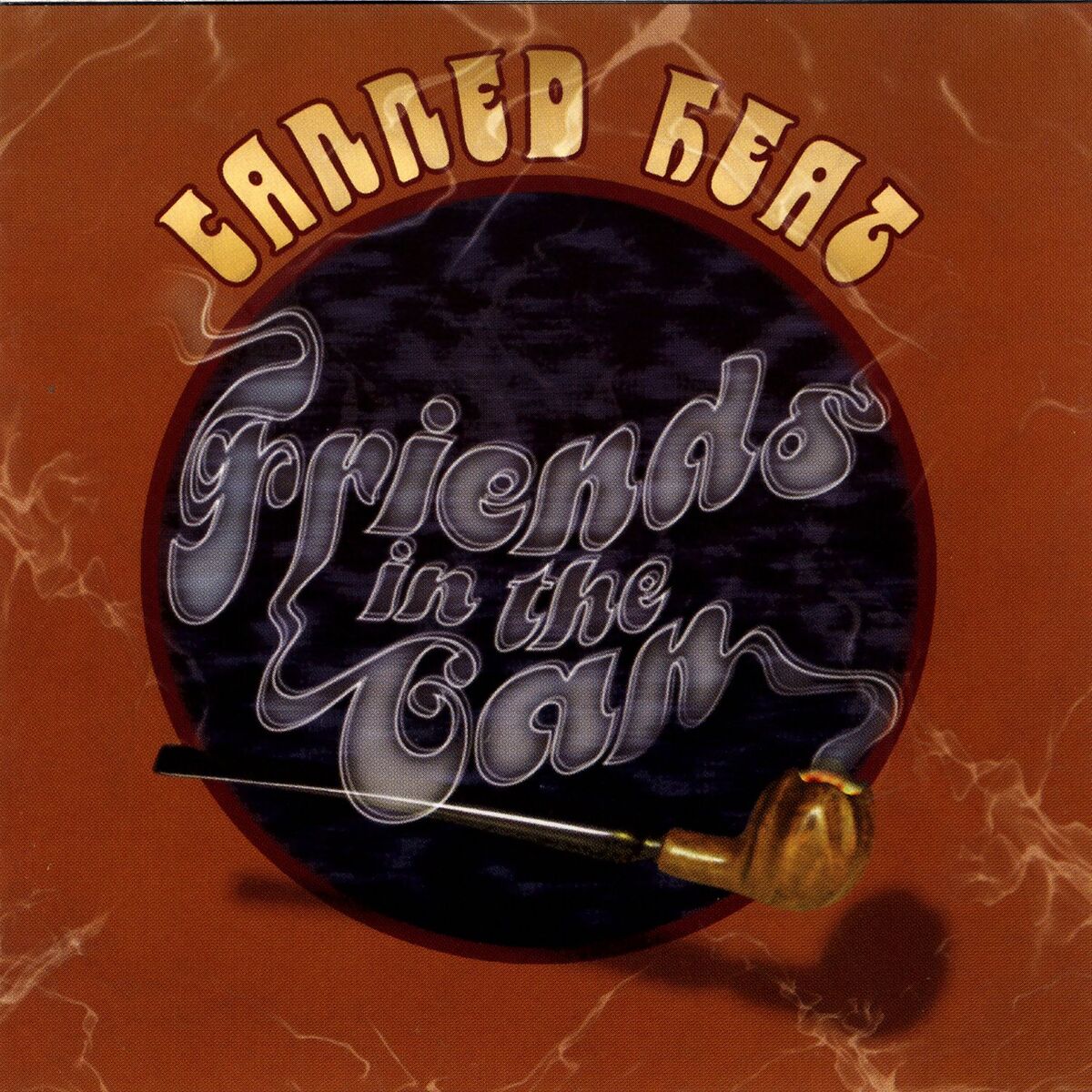 Album cover of Friends In The Can