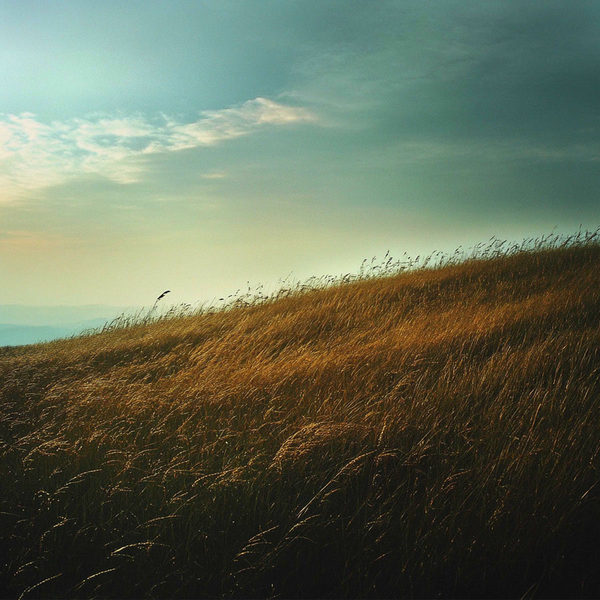 Album cover of Journey to Serenity