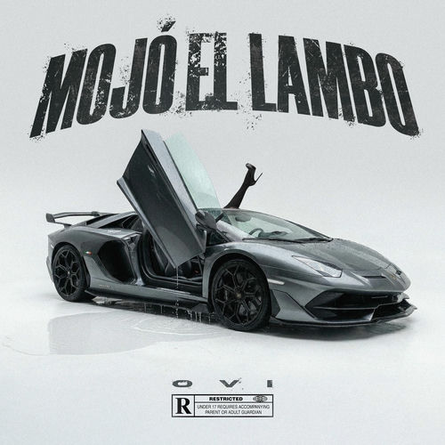 Mojó el Lambo
