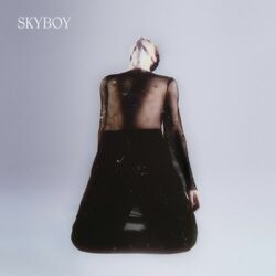 Cover of Skyboy