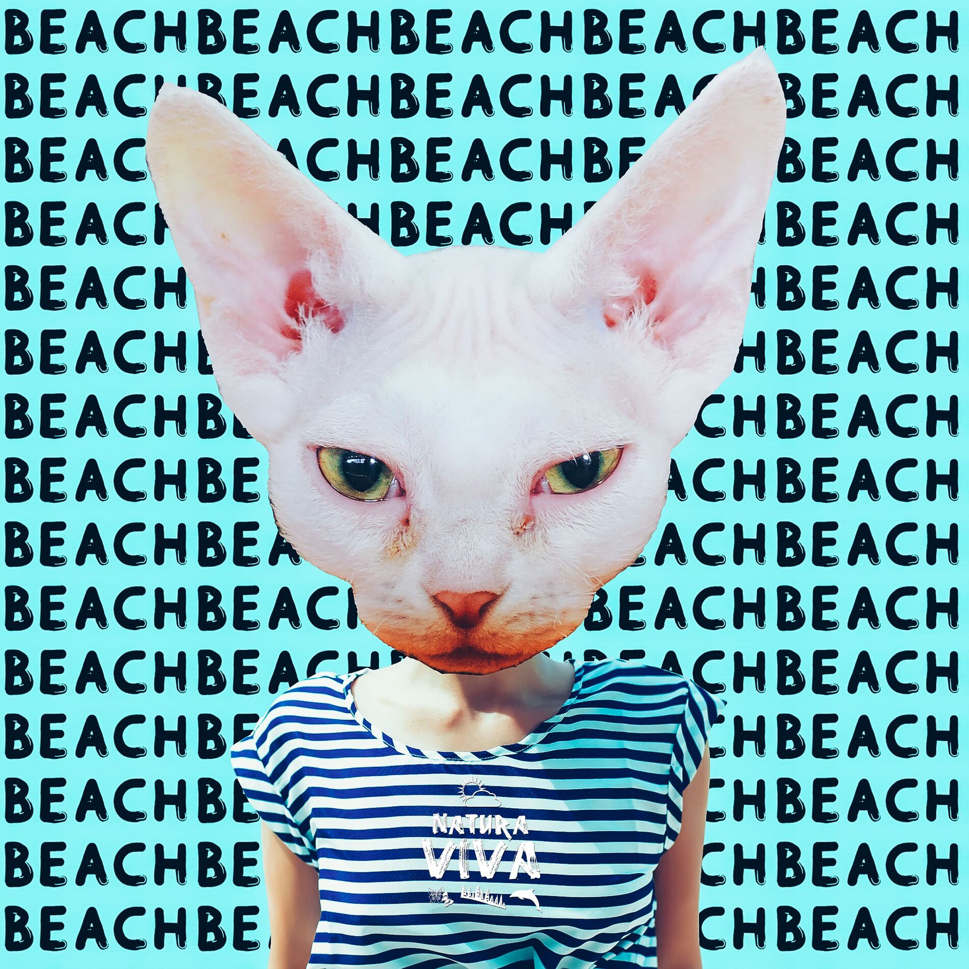 Album cover of Beach