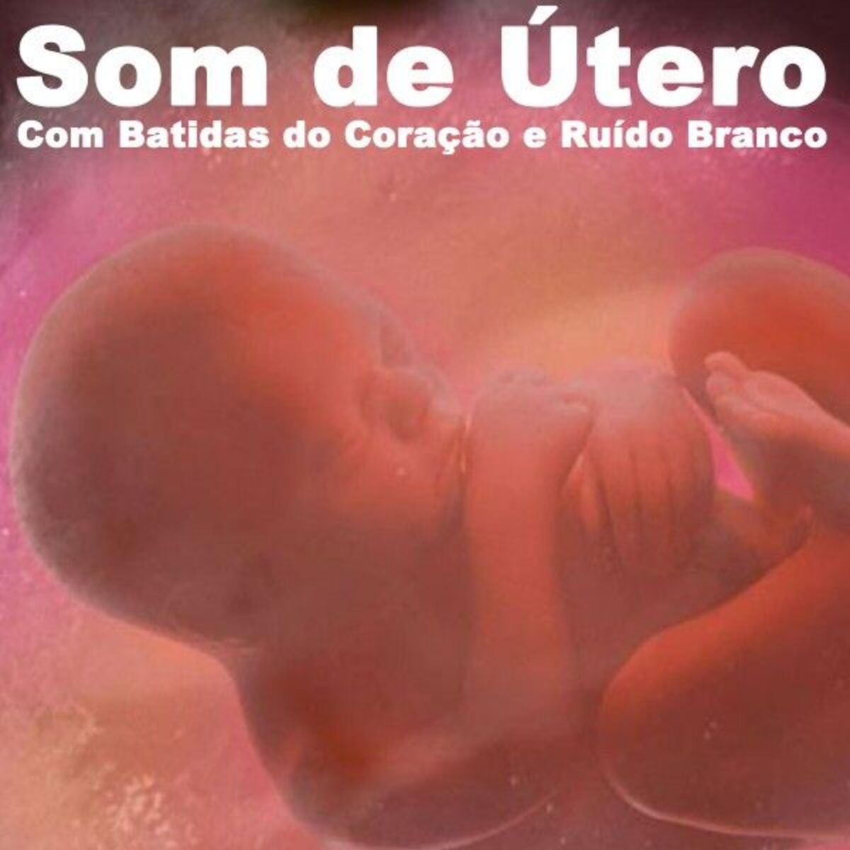 Album cover of Som de Útero Com Batidas do Coração e Ruído Branco - Loopable