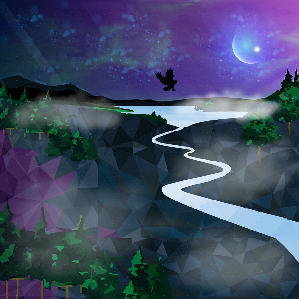 Picture of Our Journey