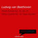 String Quartet No. 10 in E-Flat Major, Op. 74 "Harp-Quartet": IV. Allegretto con Variazioni