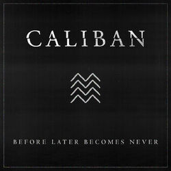 Cover of Before Later Becomes Never