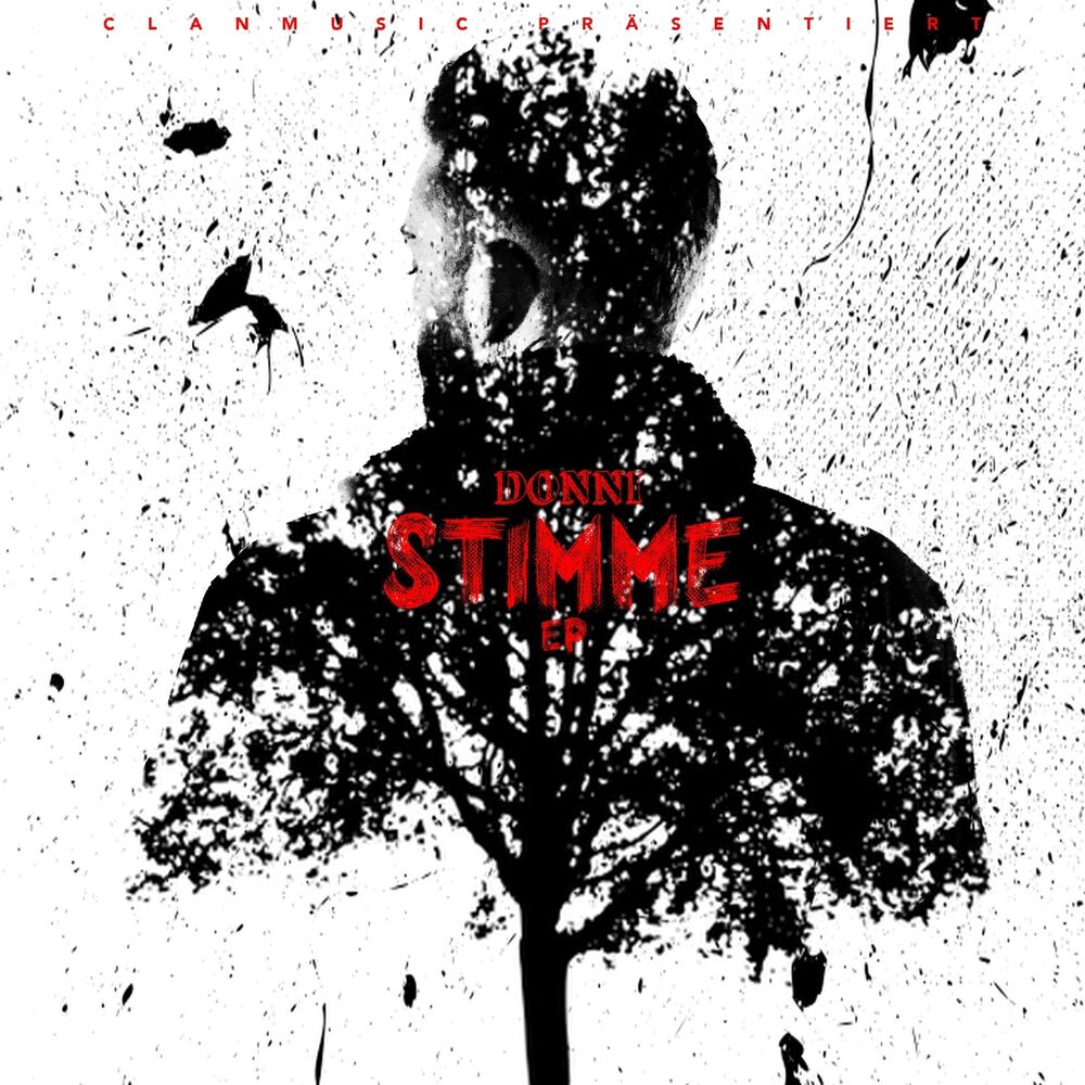 Picture of Stimme