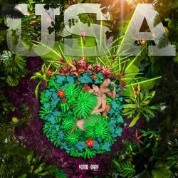 Cover of Usa