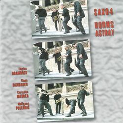 Cover of Horns Astray