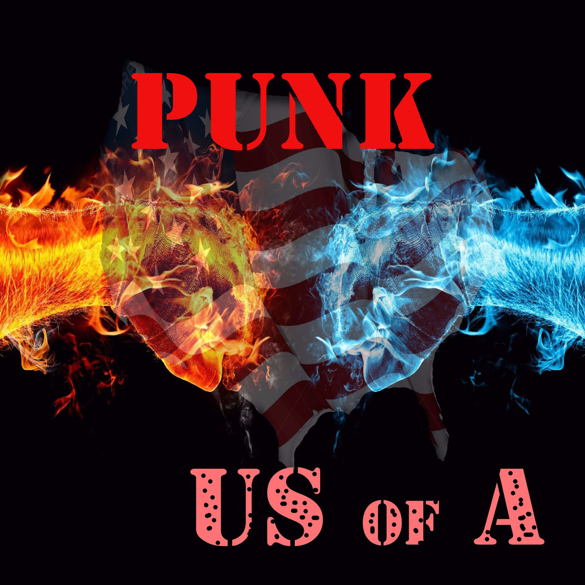 Album cover of Punk Us of A